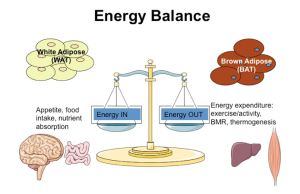 Screen Shot 2015-02-21 at 4.17.21 PM