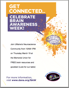 Screen Shot 2015-03-20 at 11.33.46 AM